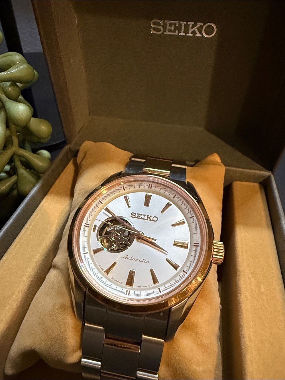 Seiko Brown Box with Gold SEIKO Logo